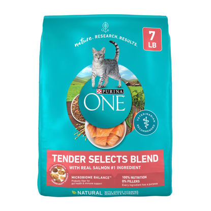 Picture of Purina ONE Natural Dry Cat Food, Tender Selects Blend With Real Salmon - 7 lb. Bag