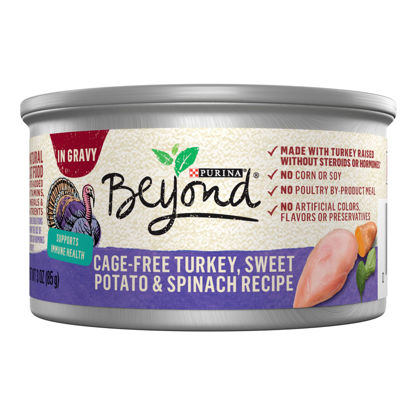 Picture of Purina Beyond Cage-Free Turkey, Sweet Potato and Spinach Recipe In Wet Cat Food Gravy - (12) 3 oz. Cans