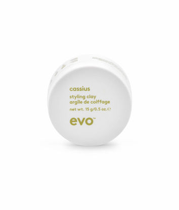 Picture of evo Cassius Hair Styling Clay - Adds Texture with Long Lasting Style - Travel Size 15g / 0.05oz