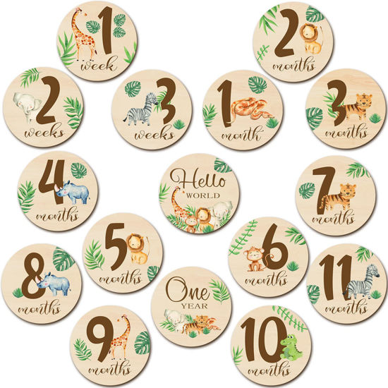 Picture of 16 Pieces Wooden Baby Monthly Milestone Cards Baby Monthly Milestone Marker Discs Double Sided Monthly Milestone Wooden Circles Baby Months Signs for Baby Shower Newborn Photo Props(Jungle Animal)