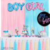 Picture of Pink and Blue Party Photo Backdrop - GREATRIL Foil Fringe Tinsel Streamers for Gender Reveal/Boy or Girl/Pastel/Easter/Baby Shower/Birthday Party Decoration - 3.2ft X 8.2ft - 2 Packs