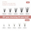 Picture of LANKIZ Large Tray Individual Lashes, DIY Lash Extensions, Soft and Lightweight Lash Clusters, Reusable Cluster Lashes for Home Use (Style 20D 10-16mm Mixed Length & Fishtail 8-13mm Mixed Length)