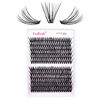 Picture of Individual Lashes 240pcs Cluster Lashes 30D+40D DIY Eyelash Extension D Curl 0.07 Natural Individual Lash Extensions False Eyelashes at Home (30D+40D-0.07D, 16mm)