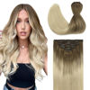 Picture of GOO GOO Hair Extensions Clip in Human Hair 20 Inch 120g 7pcs Ombre Ash Brown to Platinum Blonde Real Clip in Hair Extensions Natural Remy Hair Straight