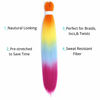 Picture of Rainbow Braiding Hair Pre stretched Braids Kanekalon Braiding Hair Extensions