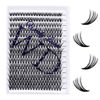 Picture of Individual Lashes DIY Eyelash Clusters 300PCS C/D Curl Lash Clusters Comfortable Cat Eye Lashes Super Soft Reusable Wispy Lashes Self Application Lash Clusters(300PCS-40D-0.07DD,8-16mm Mixed Tray)