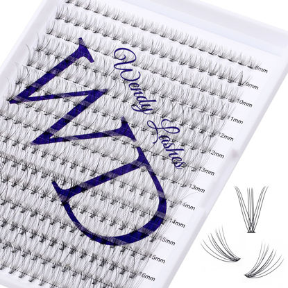 Picture of Individual Lashes DIY Eyelash Extension 300PCS Lashes Extensions C/D/CC/DD Curl Lash Clusters Cat Eye Lashes Super Soft Eyelashes Extension Matt Black Lashes Beginner Lash Clusters(300PCS-10D-0.07D,8-16mm Mixed Tray)