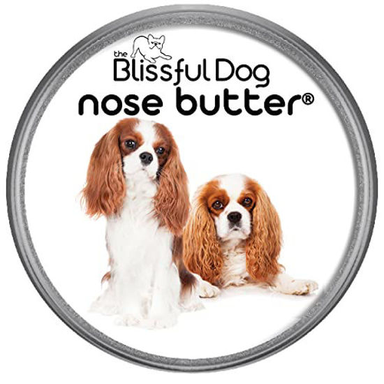 Picture of The Blissful Dog Blenheim Cavalier King Charles Spaniel Unscented Nose Butter - Dog Nose Butter, 4 Ounce