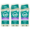 Picture of Tom's of Maine Antiperspirant Deodorant for Women, Coconut Lavender, 2.25 oz. 3-Pack (Packaging May Vary)