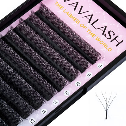 Picture of VAVALASH W-shaped Eyelash Extension 5D Premade Fans 0.07 C Curl Volume Lash Extensions Easy Fanning Lashes Matte Black Volume Premade W Lashes(W Shaped-5D-0.07-C-11mm）