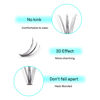 Picture of VAVALASH Individual Cluster Lashes 280 PCS DIY Eyelash Extension Light and Soft Faux Mink Slik Lash Clusters Easy Full Lash Extensions DIY at Home (20D-D Curl-9-16mm Mix)