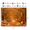 Picture of CHAIYA 7x5ft Autumn Maple Forest Photography Backdrop Autumn Harvest Backdrop Thanksgiving Background Pumpkin Decoration Party Backdrops Thanksgiving Backdrops Fall Photo Backdrops CY-238