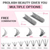 Picture of 280 Pcs Individual Lashes 20D-D-0.07-10 Cluster Lashes 10D 20D C D Curl Wispy Lashes Bottom Lashes DIY Lashes At Home（20D-D-0.07-10）