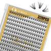 Picture of QUEWEL Lash Clusters 320Pcs Cluster Lashes 30D D Curl Lash Clusters Mix9-16mm Individual Eyelashes Clusters Wispy DIY Eyelash Extension Thin Band Soft to Use at Home (30D D Mix9-16)