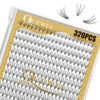 Picture of QUEWEL Lash Clusters 320Pcs Cluster Lashes 10D C Curl Lash Clusters Mix9-16mm Individual Eyelashes Clusters Wispy DIY Eyelash Extension Thin Band Soft to Use at Home (10D C Mix9-16)