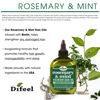 Picture of Difeel Rosemary and Mint Premium Hair Oil with Biotin 7.1 oz. (PACK OF 2) - Made with Natural Mint & Rosemary Oil for Hair Growth