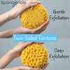 Picture of Spongentle Deep Cleansing Body Loofah Sponge, Natural Colors, for Bath and Shower, Multiple Textures for Gentle and Deep Exfoliation, Generous and Rich Lather, (Pack of 3)