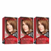 Picture of REVLON Colorsilk Beautiful Color Permanent Hair Color with 3D Gel Technology & Keratin, 100% Gray Coverage Hair Dye, 54 Light Golden Brown, 3 Pack