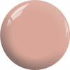 Picture of SNS Nails Dipping Powder - Nude Collection - N9 (NC09) - Jerry! Jerry! - 1OZ