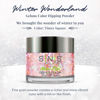 Picture of SNS Nails Dipping Powder Gelous Color - Winter Wonderland Collection - WW08-1oz