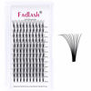 Picture of Volume Eyelash Extensions 10D C Curl 18mm Premade Lash Fans 0.10 Handmade Short Stem Premade Fans Volume Lash Extensions (10D-0.10-C, 18mm)