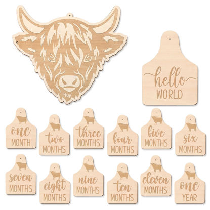 Picture of Huray Rayho Highland Cow Baby Monthly Milestone Cards Rustic Wooden Cattle Tags Newborn Scottish Photography Props to Record Your Baby´s Growth, Set of 14 Reversible Cards from One Month to One Year