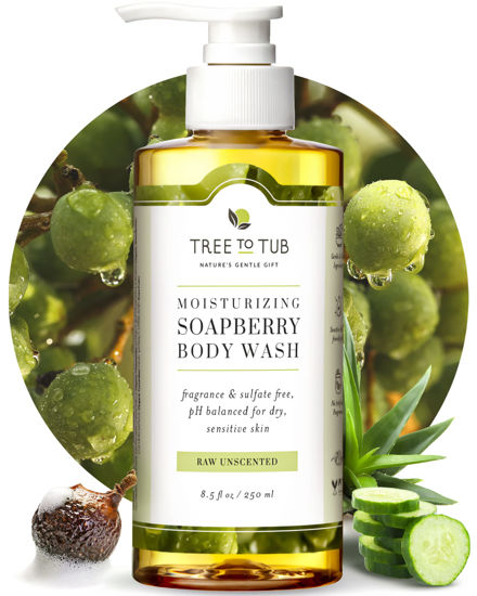 Picture of Tree to Tub Unscented Body Wash for Sensitive Skin & Dry Skin - Moisturizing pH Balanced Fragrance Free Body Wash, Hydrating Sulfate Free Body Soap for Women & Men w/Organic Shea Butter, Natural Aloe