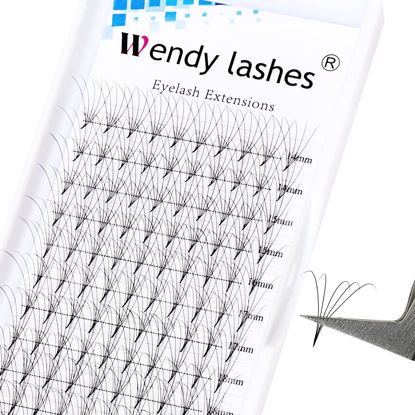 Picture of Premade Fans Eyelash Extensions C/D curl 0.07mm Mixed 14-20mm Russian Lashes Fans Soft Short Stem Volume Lash Extensions by WENDY LASHES (5D-0.07-D, 14-20mm Mixed Tray)