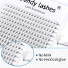 Picture of Lash Extension Premade Fans Eyelash Extensions 320PCS Pre Made Fans Lash Extensions 5D/6D Lashes Extension 0.07mm C/D Curl Promades Eyelash Fans Mixed Length 9-16/13-20mm Eyelash Extension(6D-0.07-C, 916mm Mixed Tray)