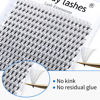 Picture of Premade Fans Eyelash Extensions Eyelash Extension 320PCS Promades Eyelash Fans 8D/10D/12D Lash Extension 0.07mm C/D Curl Pre Made Fans Eyelash Mixed Length 9-16/13-20mm Eyelash Extensions(10D-0.07-C, 1320mm Mixed Tray)