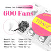 Picture of TDANCE 600 Fans Premade Fans Eyelash Extensions 8-15mm Mixed Length Pre Made Fans Lash Extensions 5D 8D 10D 12D 14D 16D 24D Handmade Promades Eyelash Fans C/D Curl Loose Fans(600-10D-0.05-C-8-15mm)