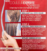 Picture of L'Oreal Paris Couleur Experte 2-Step Home Hair Color and Highlights Kit, Chocolate Mousse