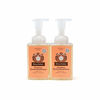 Picture of Moon Valley Herbal Foaming Hand Soap, Grapefruit Thyme 2 Pack, Vegan, Recyclable Bottle