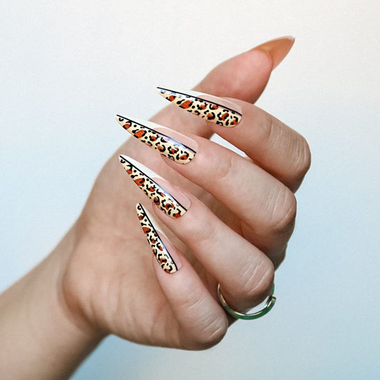 Picture of Leopard Print French Extra Long Stiletto False Press on Nails - 20 pcs Full cover Acrylic fake Nails 10 Sizes