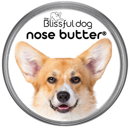 Picture of The Blissful Dog Corgi Unscented Nose Butter, 2-Ounce