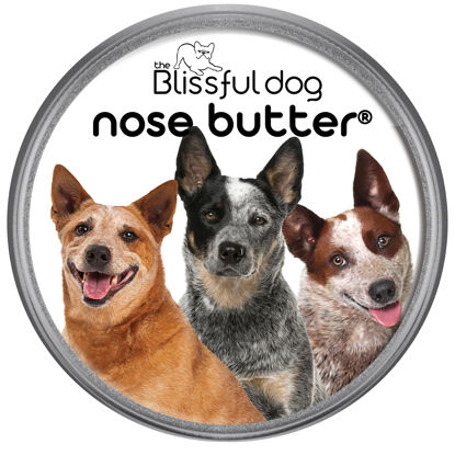 Picture of The Blissful Dog Australian Cattle Dog Unscented Nose Butter - Dog Nose Butter, 2 Ounce