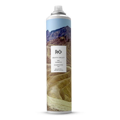 Picture of R+Co Death Valley Dry Shampoo | Adds Texture + Body + Shine | Vegan + Cruelty-Free | 6.3 Oz