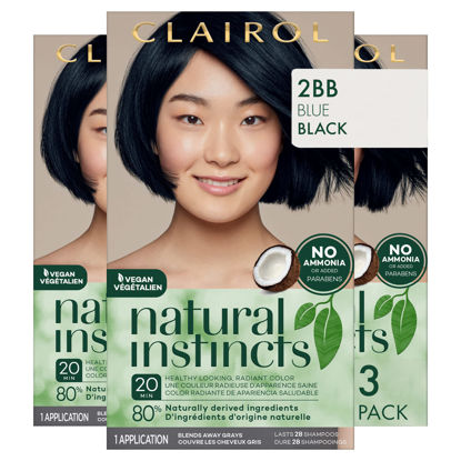 Picture of Clairol Natural Instincts Demi-Permanent Hair Dye, 2BB Blue Black Hair Color, Pack of 3