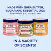 Picture of Dr Teal's Shea Sugar Scrub Trial Pack, Rose, Shea Butter, Citrus 19 oz (Pack of 3) (Packaging May Vary)