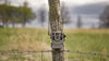 Picture of TACTACAM Reveal X Gen 2.0 LTE Cellular Trail Camera (2 PK) + Two Tree Mounts