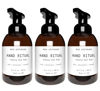 Picture of Muse Bath Apothecary Hand Ritual - Aromatic and Nourishing Foaming Hand Soap, Infused with Natural Aromatherapy Essential Oils - USDA Certified Biobased - 11.5 oz, Aloe + Eucalyptus + Lavender, 3 Pack