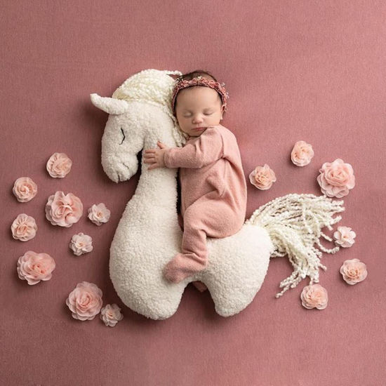 Top 7 Newborn Photography Props - candiceswansonphotography.com