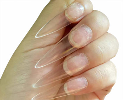 Picture of ALLKEM 360 Pcs Soft Gel Clear Extra Long XXL Stiletto False Press on Nails full cover Set