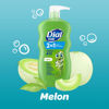 Picture of Dial Kids 2-in-1 Body+Hair Wash, Melon, 24 fl oz (Pack of 4)