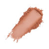 Picture of Wet n Wild Powder Color Icon Blushnaked Brown