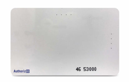 Picture of Panopticon Tech 2 AuthorizID 26 Bit CR80 Blank Printable Proximity Access Control Cards