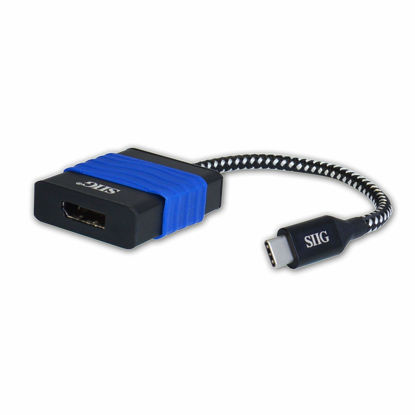 Picture of SIIG USB C to DisplayPort 4K 60 Hz Adapter Converter, Type C to DP Male to Female for 2016 MacBook Pro, ChromeBook Pixel, and More