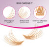 Picture of Lash Clusters 168pcs 12-18mm Individual Lashes D Curl Colored Lash Extensions Wispy Glod Colored Cluster Lashes Mix Eyelash Clusters Individual Lash Extensions (FC2-0.07D, 12-18mm)