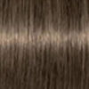 Picture of Schwarzkopf Igora Royal Hair Color 7-00 Medium Blonde Natural Extra