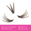 Picture of Individual Lashes 120pcs Cluster Lashes Mix Dark Brown Lash Extensions DIY Eyelash Extension D Curl Lash Clusters Eyelash Clusters Colored Lash Extensions (Brown 20D-0.07D,8-15mm)